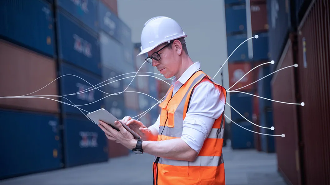 Premium Customs Infrastructure and Global Trade Regulatory Compliance Hub